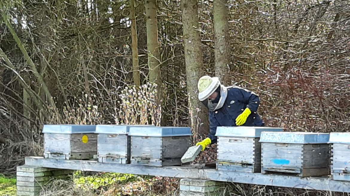 Die 1. Bienen-Runde im Februar Jahr 2021